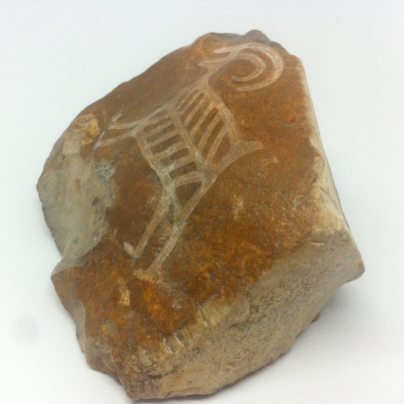 Stone Engraving: Mountain Goat Petroglyph Based Upon Ancient Motives of