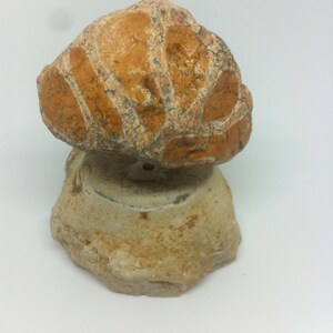 Stone Composition:  L&#39;amour s&#39;en va - Love goes away