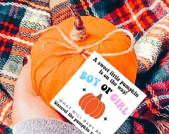 Gender Reveal Pumpkin Surprise Ball | Fall Gender Reveal | Grandparents Gender Reveal Gift