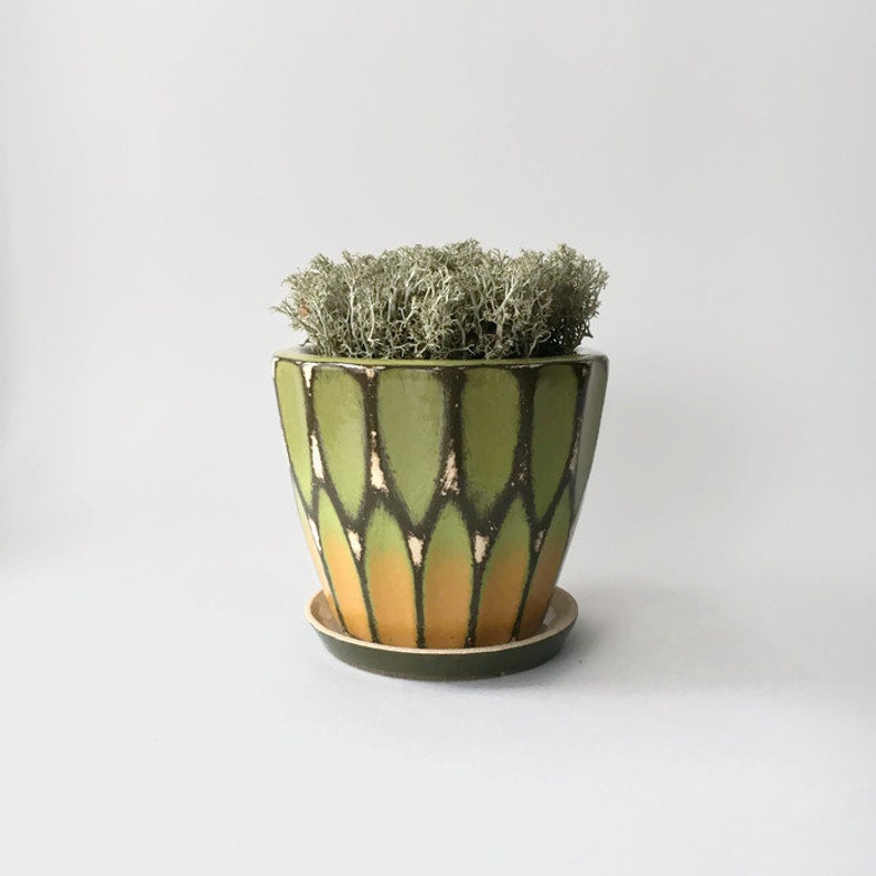 Green-beige ceramic pot Shine planter Mothers day gift Flower planter Housewarming Gift Cactus planter Home Decor Succulent planter Rustuc image 1