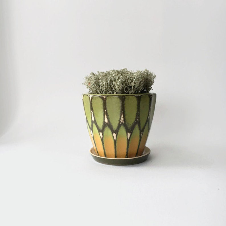 Green-beige ceramic pot Shine planter Mothers day gift Flower planter Housewarming Gift Cactus planter Home Decor Succulent planter Rustuc image 6