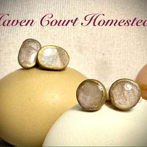May include: Earrings with a gold-colored trim and a pearlescent, light brown center. The earrings are displayed on a light-colored surface, with the text "Haven Court Homestead" in a burgundy script at the top.