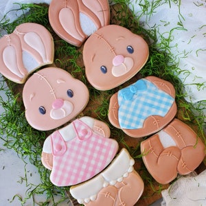 May include: Four decorated sugar cookies shaped like bunnies. The cookies are decorated with pastel colors and have different designs. One cookie is wearing a blue and white checkered outfit, another is wearing a pink and white checkered dress, and the other two are wearing brown and pink outfits.