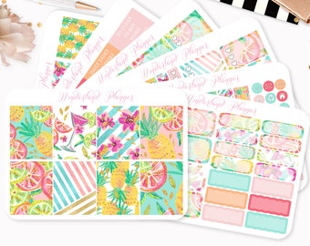 Summer Fruits - Sticker Kit or A La Carte Sheets - Tropical Themed Planner Weekly Kit - 180+ Stickers - Fits Standard Vertical Planners