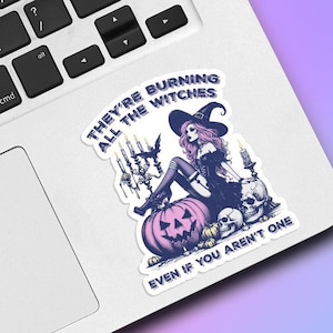 They&#39;re Burning All The Witches Vinyl Sticker, Halloween Sticker, Holographic Sticker, Laptop Sticker