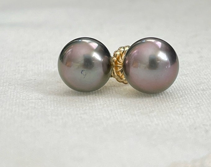 Cultured Tahitian Pearl Stud Earrings, 14K (PE100)