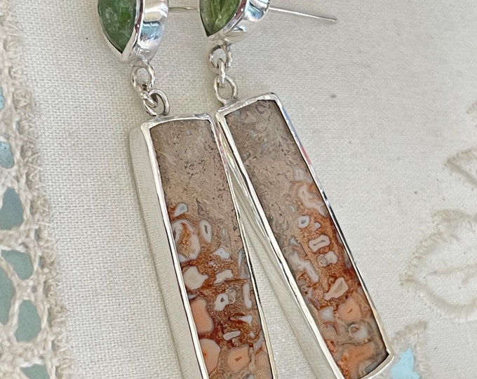 Kyanite and Fossilized Palm Wood Dangle Earrings, Silver (KFPE1)