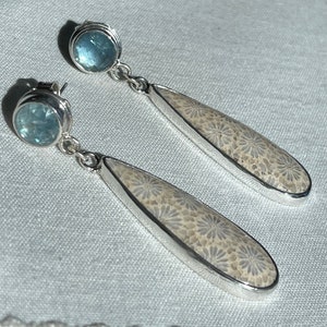 Fossile Koralle und Kyanit Ohrringe, Silber (FCE3)