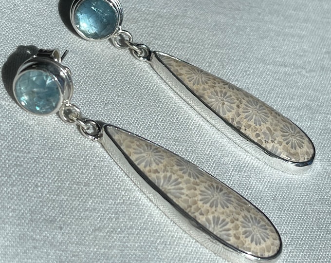 Fossil Coral and Kyanite Earrings, Silver (FCE3)