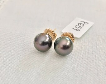 Cultured Tahitian Pearl Stud Earrings, 14k Yellow Gold (PE59)