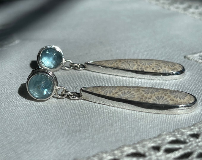 Fossil Coral and Kyanite Earrings, Silver (FCE3)