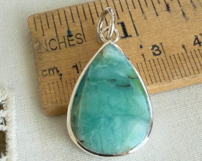 Opalized Wood Pendant, Silver (BOWP6)