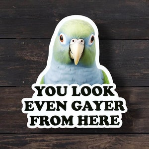 Funny Parrot Sticker: You Look Even Gayer From Here - LGBTQ Pride Bild 1