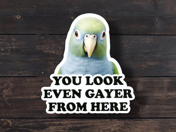 Funny Parrot Sticker: You Look Even Gayer From Here - LGBTQ Pride