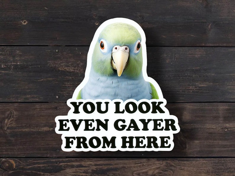 Funny Parrot Sticker: You Look Even Gayer From Here - LGBTQ Pride Bild 1