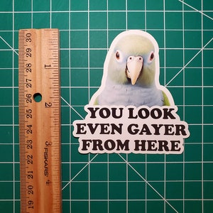 K&ouml;nnte beinhalten: Ein wei&szlig;er Aufkleber mit dem Kopf eines Papageis und dem Text "YOU LOOK EVEN GAYER FROM HERE" in schwarzen Buchstaben.