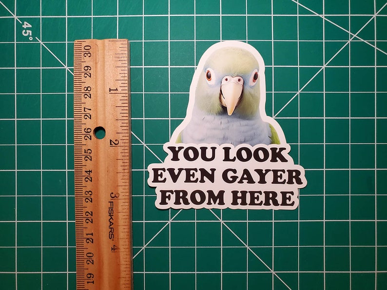 K&ouml;nnte beinhalten: Ein wei&szlig;er Aufkleber mit dem Kopf eines Papageis und dem Text "YOU LOOK EVEN GAYER FROM HERE" in schwarzen Buchstaben.