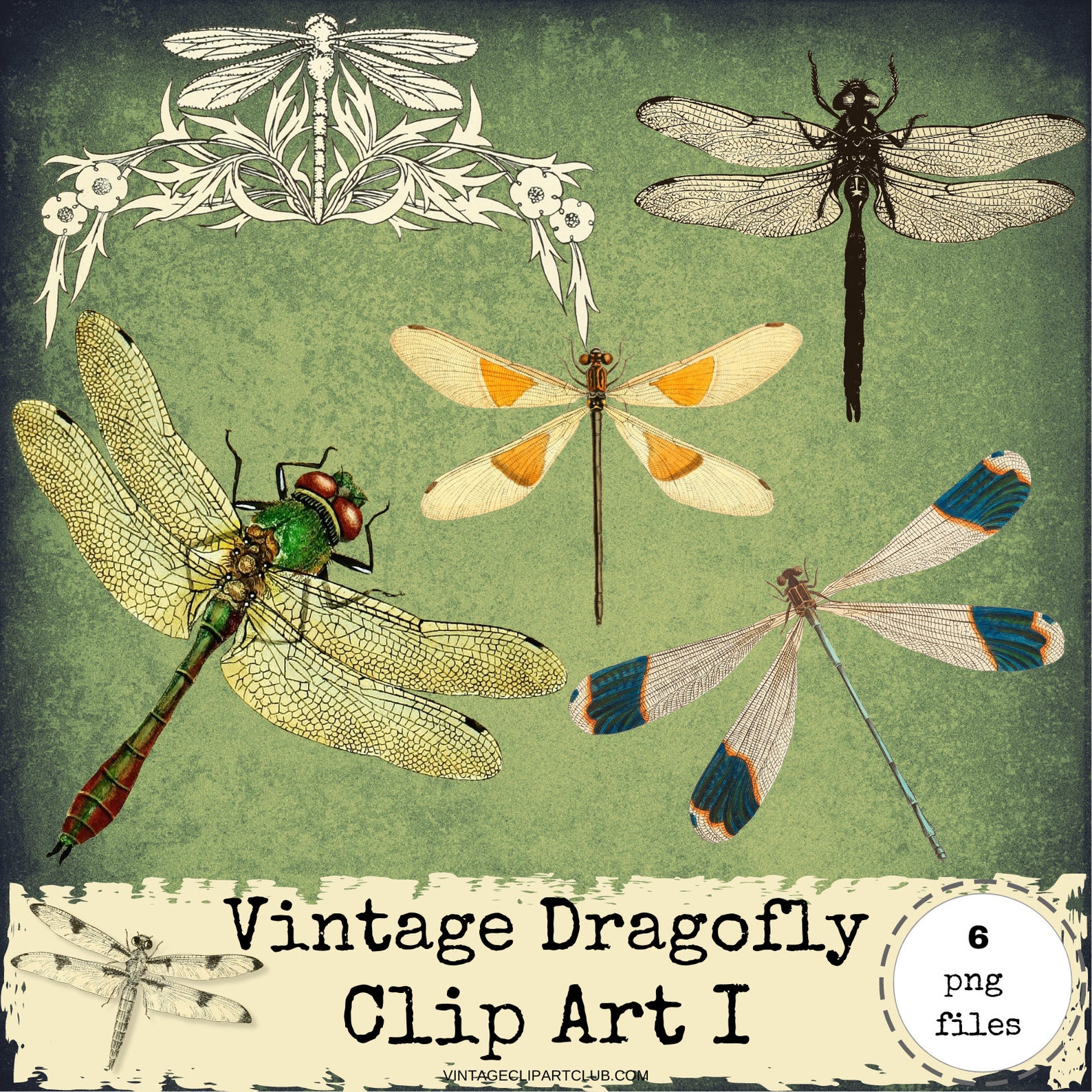 Vintage Dragonflies Dragonfly Clip Art I Digital Images - Etsy