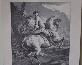 Antique Engraving Johann Elias Ridinger Dressage Scenes