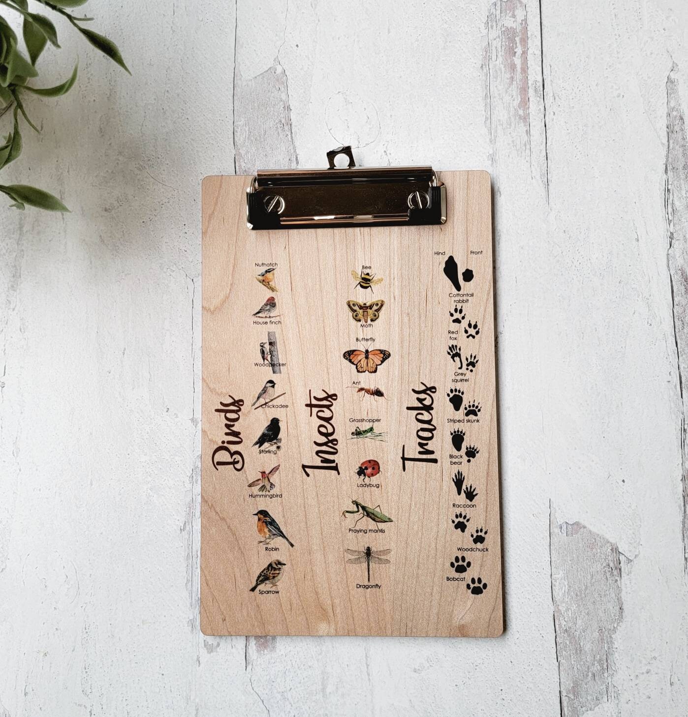 Explorer Clipboard Nature Clipboard Wooden Clipboard Little Etsy
