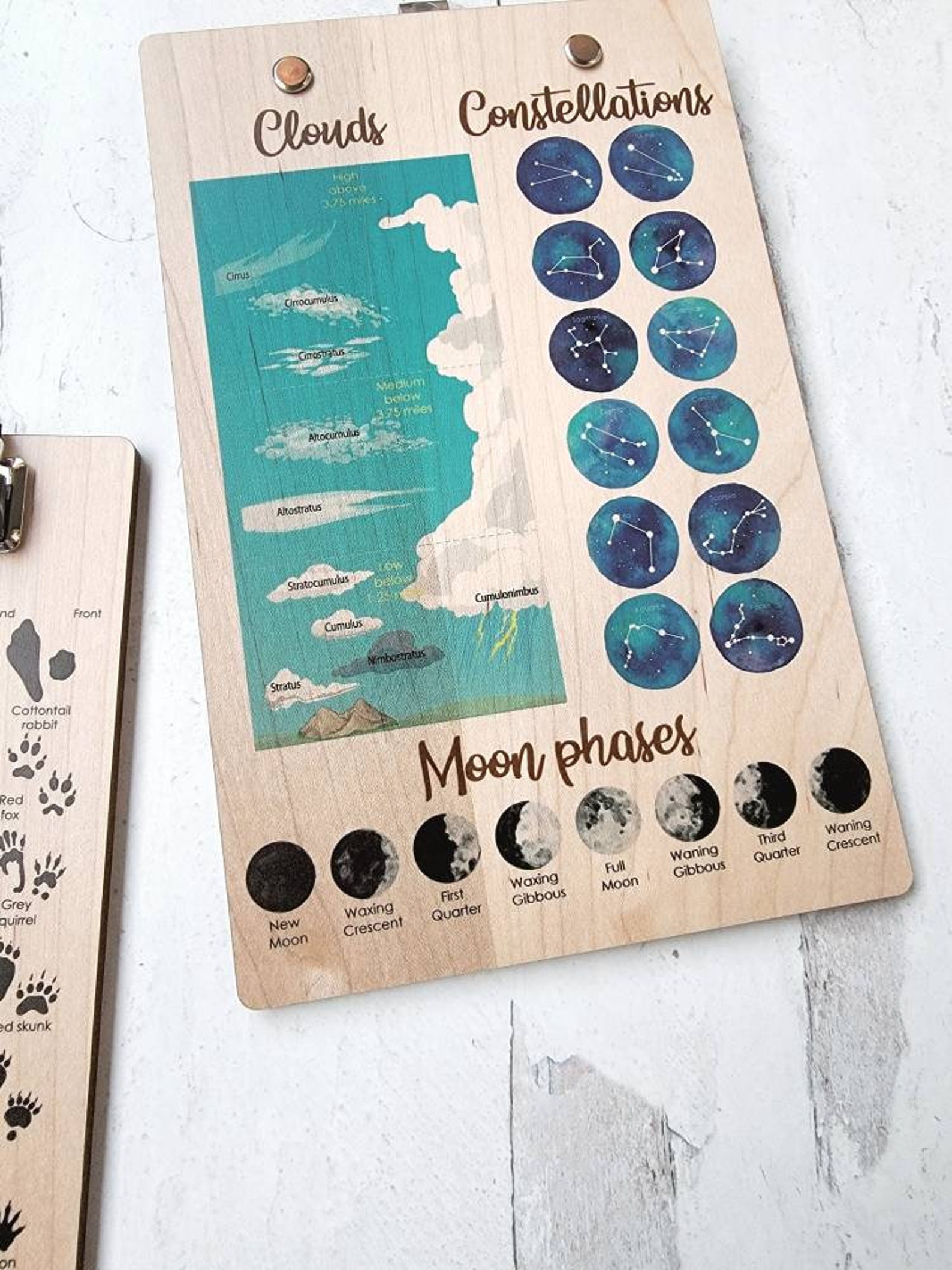 Explorer Clipboard Nature Clipboard Wooden Clipboard Little Etsy