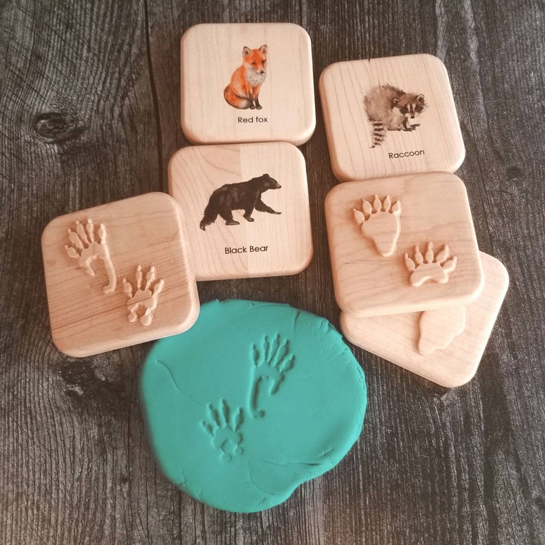 Animal tracks play dough stampers animal track stamps animal tracks study wooden playdough moulds wooden toys slime Montessori image 7