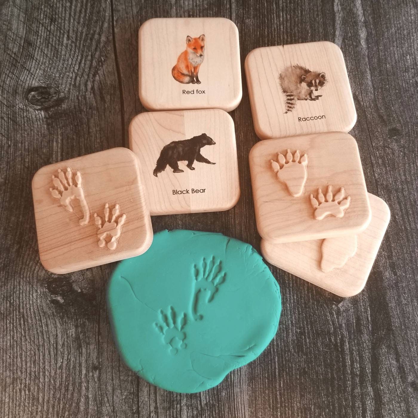 Animal Tracks Play Dough Stampers Animal Track Stamps Etsy UK