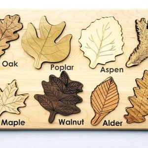 Leaf puzzle, Montessori puzzle, Christmas gift, wooden puzzle, stem toy image 4