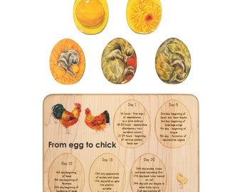 Chicken development - chicken gift- raising chickens - Montessori - wooden puzzle