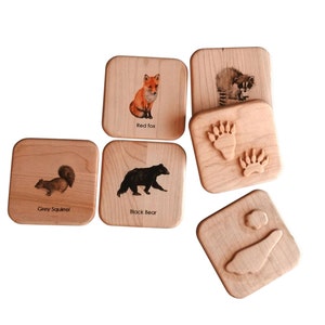 Animal tracks play dough stampers animal track stamps animal tracks study wooden playdough moulds wooden toys slime Montessori image 2