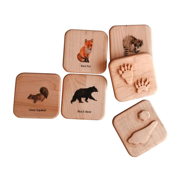 Animal tracks play dough stampers animal track stamps animal tracks study wooden playdough moulds wooden toys slime Montessori image 2