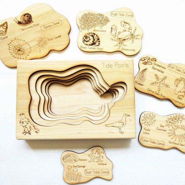 Tidepool layered puzzle, ocean wooden puzzle, montessori wooden puzzle, educational toys