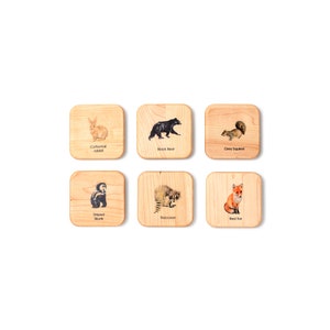 Animal tracks play dough stampers animal track stamps animal tracks study wooden playdough moulds wooden toys slime Montessori image 10