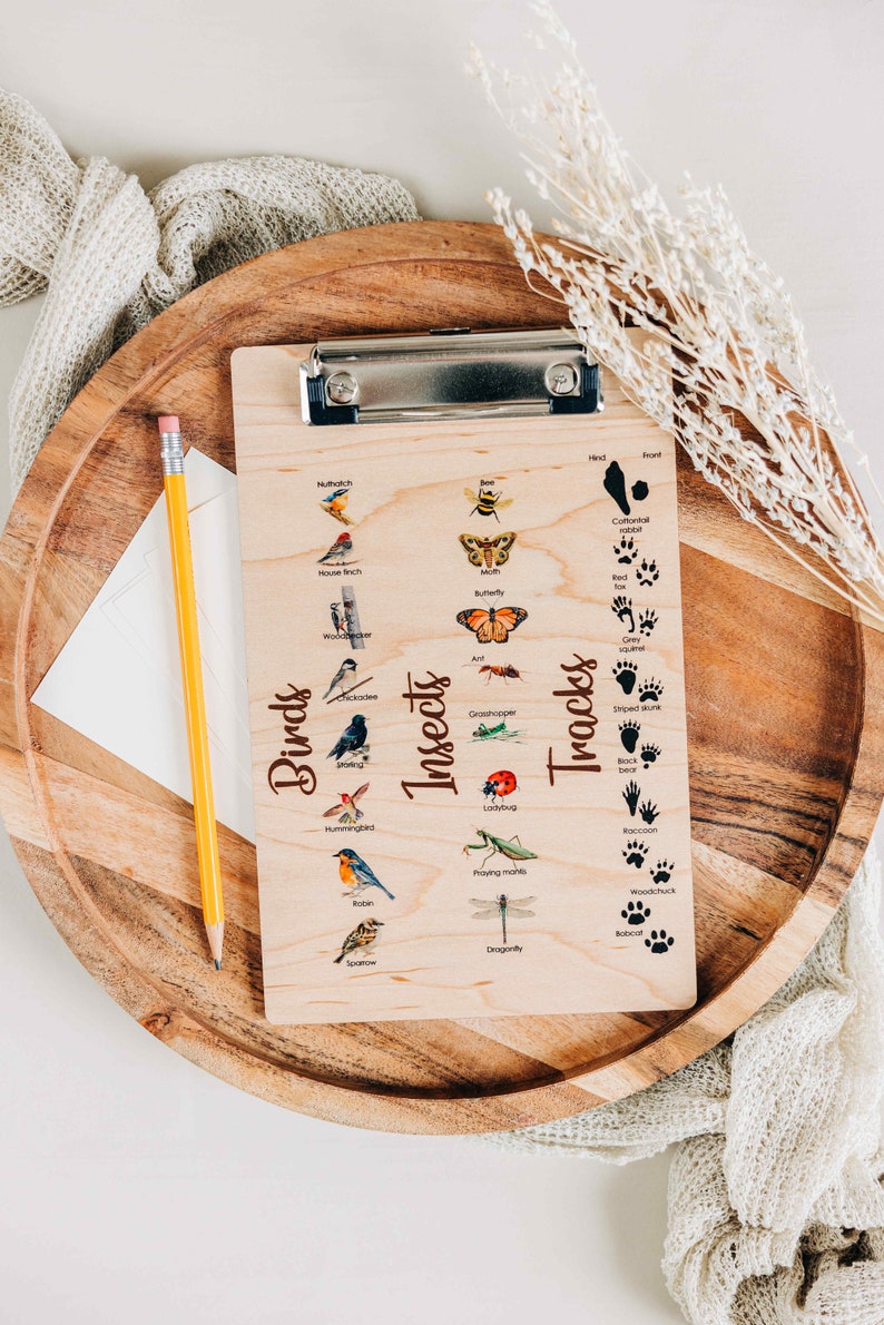 Explorer Clipboard Nature Clipboard Wooden Clipboard Little Etsy