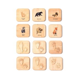 Animal tracks play dough stampers animal track stamps animal tracks study wooden playdough moulds wooden toys slime Montessori image 1