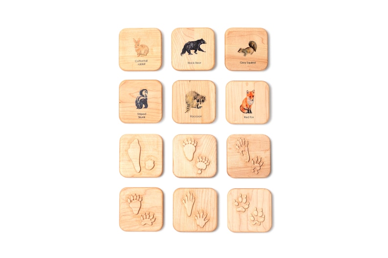 Animal tracks play dough stampers animal track stamps animal tracks study wooden playdough moulds wooden toys slime Montessori image 1