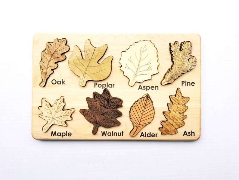 Leaf puzzle, Montessori puzzle, Christmas gift, wooden puzzle, stem toy image 5