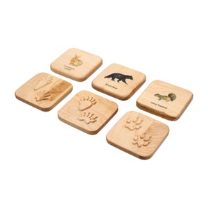 Animal tracks play dough stampers animal track stamps animal tracks study wooden playdough moulds wooden toys slime Montessori image 4