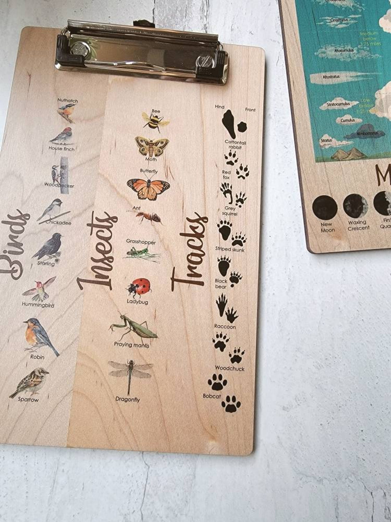 Explorer Clipboard Nature Clipboard Wooden Clipboard Little Etsy