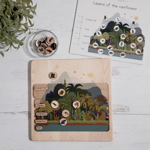 Layers of a Rainforest Wooden Puzzle Amazon Rainforest Etsy
