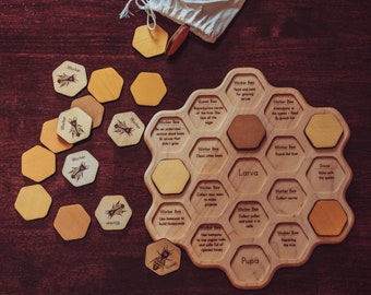 Honey bee puzzle - honeycomb - bee life cycle - honey bee learning kit - types of bees - bee unit study - Montessori toys - Waldorf - wooden