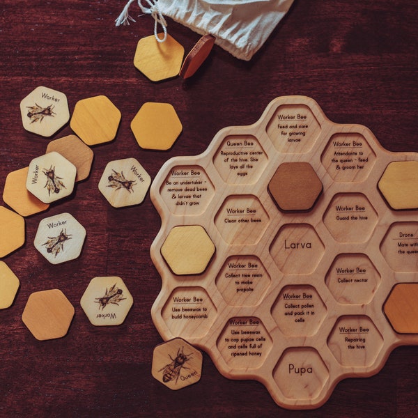 Honey bee puzzle - honeycomb - bee life cycle - honey bee learning kit - types of bees - bee unit study - Montessori toys - Waldorf - wooden