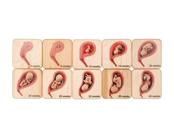 Stages of pregnancy and fetal development wooden tiles, obgyn gift, midwife gift, doula gift, graduation gift