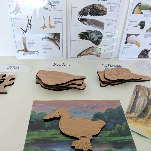 Regalo para amantes de las aves - Construye un rompecabezas de madera para pájaros - juguetes montessori - Waldorf - Inspirado en Reggio - Educación en el hogar - Regalo de Navidad - rompecabezas para pájaros