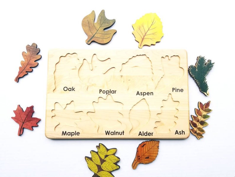 Leaf puzzle, Montessori puzzle, Christmas gift, wooden puzzle, stem toy image 6