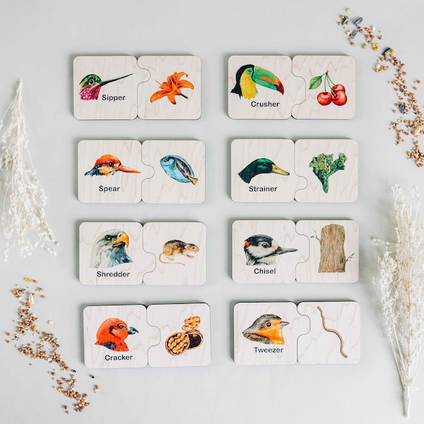 Double sided self-correcting bird beak adaptations, educational toys, Montessori puzzle