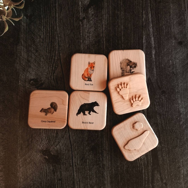 Animal tracks play dough stampers animal track stamps animal tracks study wooden playdough moulds wooden toys slime Montessori image 9