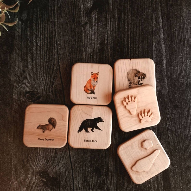 Animal tracks play dough stampers animal track stamps animal tracks study wooden playdough moulds wooden toys slime Montessori image 8