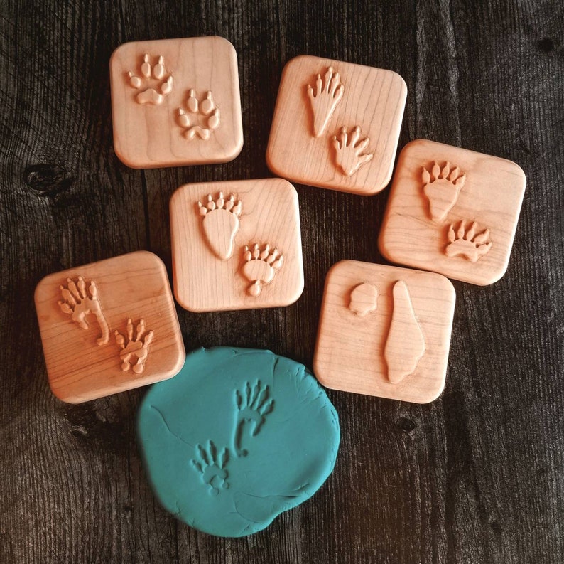 Animal tracks play dough stampers animal track stamps animal tracks study wooden playdough moulds wooden toys slime Montessori image 6