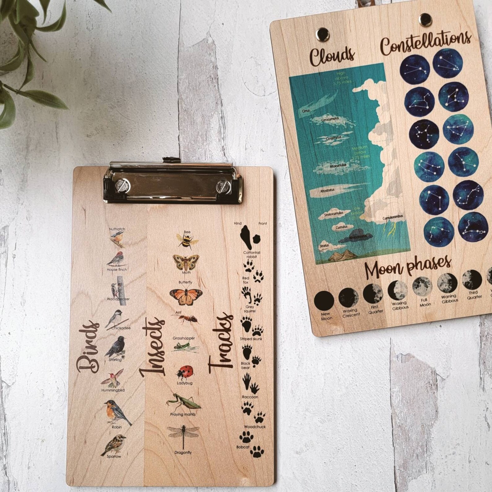 Explorer Clipboard Nature Clipboard Wooden Clipboard Little Etsy